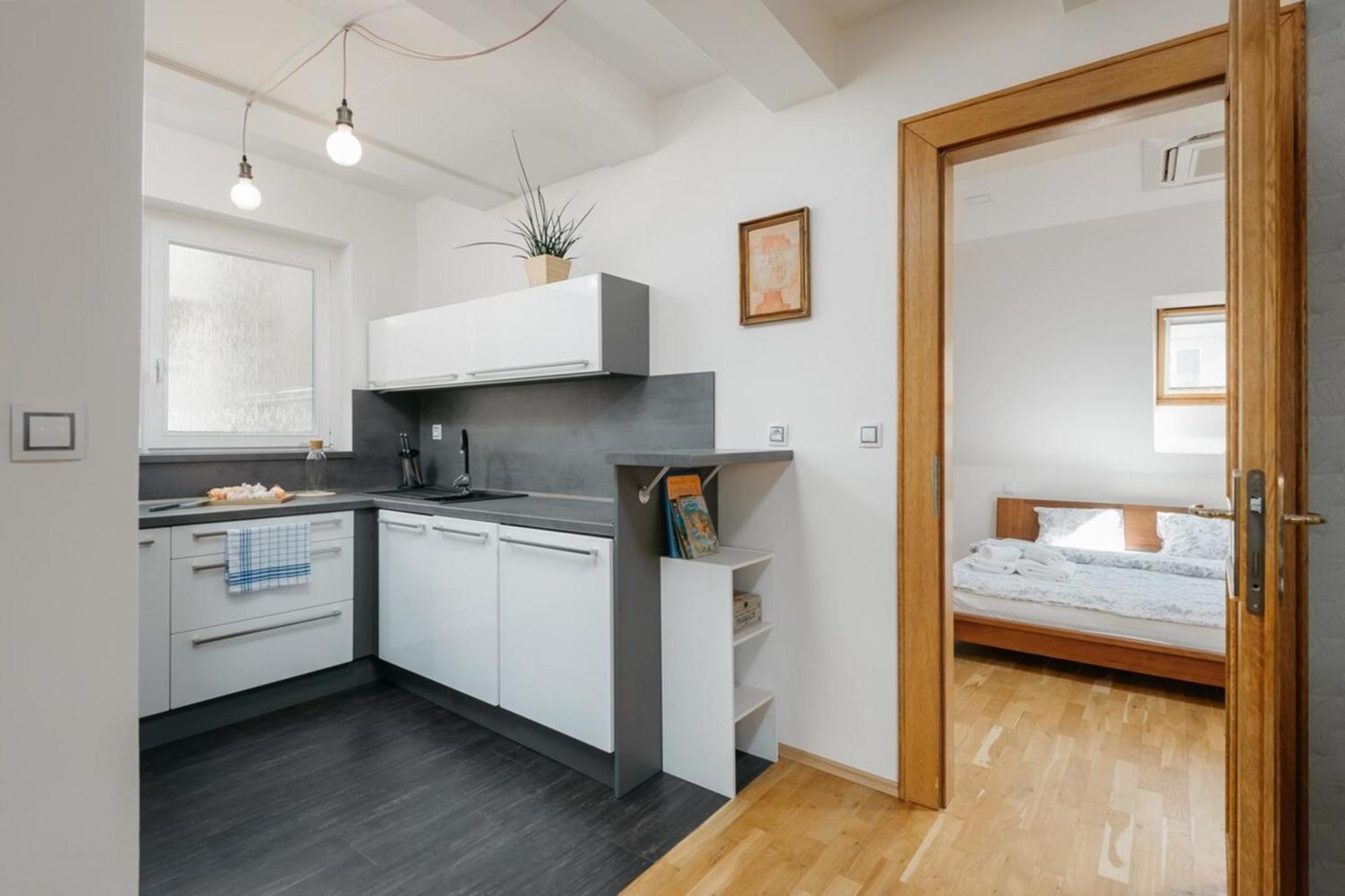 Apartament Eli Spacious With Old Town View, Parking & Ac Praga
